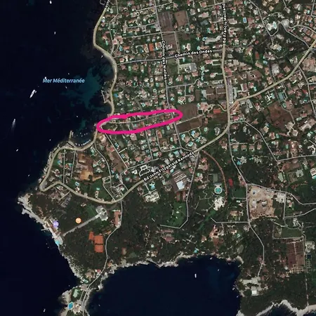 Chez Zizou - F2 Cap D'antibes Versant Ouest * Αντίμπ
